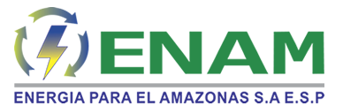 Logo de ENAM